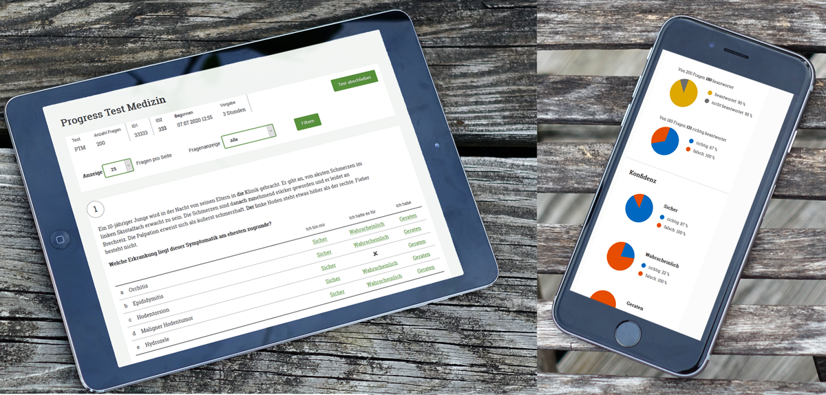 Screenshots: Fragebogen und Schnellauswertung